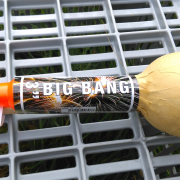 Big Bang