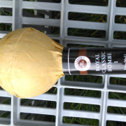 Royal Classic Bombe
